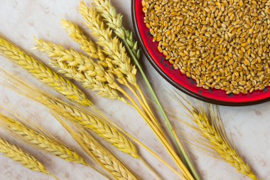 Yaylar ve buğday taneleri. Yakın çekim. Üstten görünüm