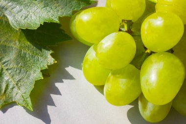 Yaylar ve buğday taneleri. Yakın çekim. Üstten görünüm