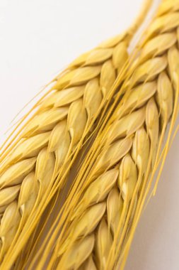 Yaylar ve buğday taneleri. Yakın çekim. Üstten görünüm