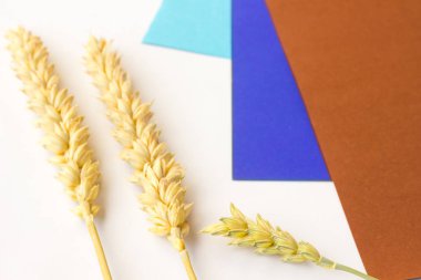 Arpa beyaz delikanlı. Brown ve blu tondan geometrik arka plan