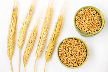 Spikelets beyaz bir arka plan üzerinde arpa. Top vie