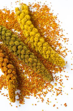 Beyaz bir arka plan üzerinde darı taneleri. Üstten görünüm