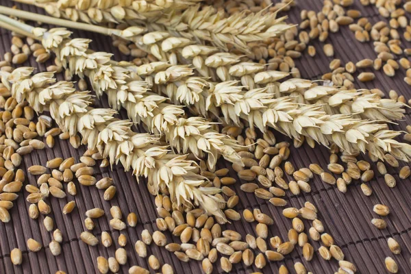 Grains Spikes Wheat Brown Backgroun — Stock Photo, Image