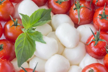 Mozzarella peyniri, kırmızı domates yeşil kuyruk closeup ile