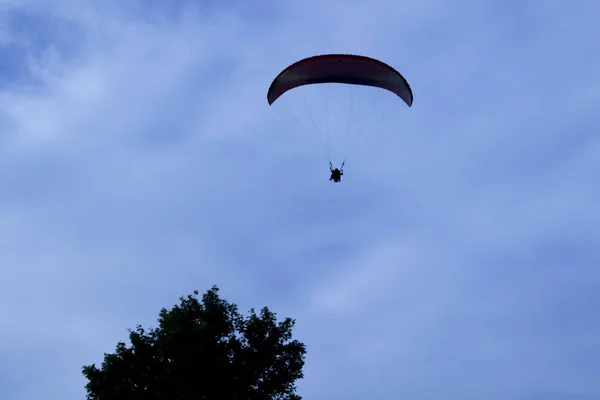 Silhouet Van Een Skydiver Tegen Een Blauwe Lucht Een Boom — Stockfoto