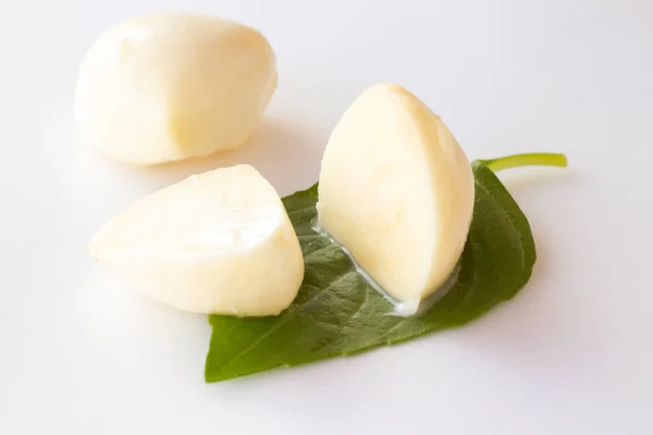 Mozzarella Rodajas Sobre Una Hoja Verde Fondo Blanco —  Fotos de Stock