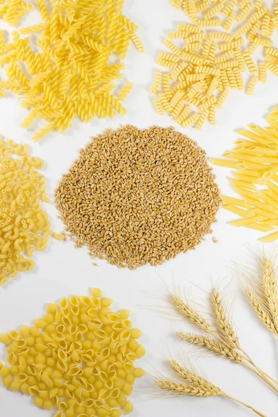 Different kinds of pasta. Grains of wheat and wheat spikelets. Top View. White background