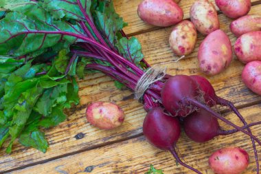 Pancar sapları ve yaprakları, meyve patates ile. Üstten görünüm. Ahşap arka plan