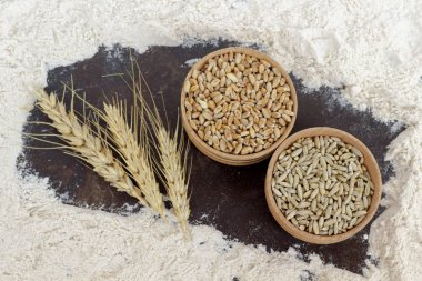 2 kutu buğday, buğday dağınık un bir arka plan üzerinde kulakları