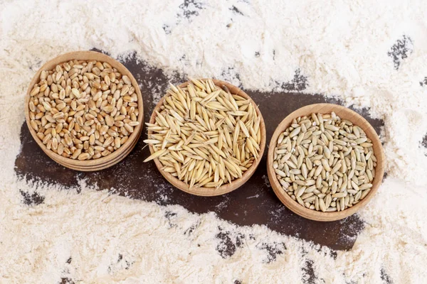 Three boxes with grains of wheat, oats and barley. Wheat spikes on the background of scattered flour