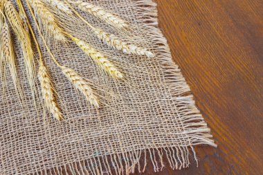 buğday ve buğday beyaz zemin üzerine tırmanıştır. Üstten görünüm. Yakın çekim