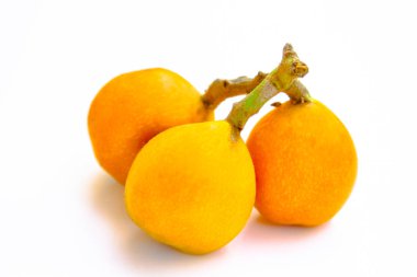 yenidünya meyve beyaz bir arka plan üzerinde yakın çekim