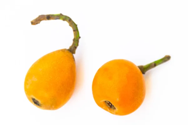 Vruchten Van Loquat Een Witte Achtergrond Close — Stockfoto