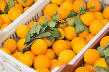 Portakal kutusu yakın çekim