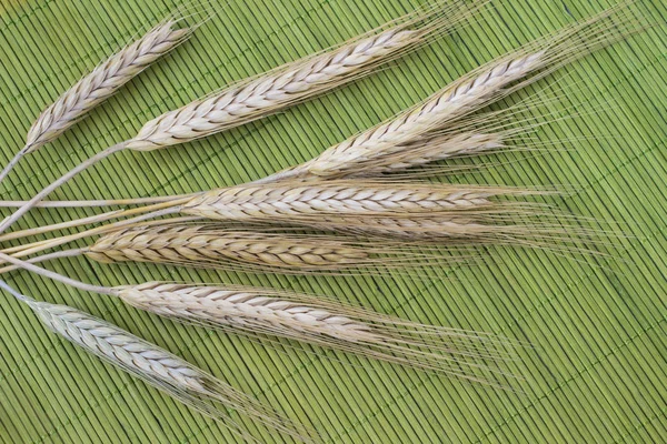 Spikelets Wheat Green Background Top View — Stock Photo, Image