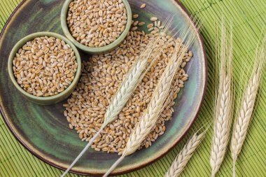 Seramik bardak, spikelets yeşil bir arka plan üzerinde Buğday Buğday taneleri. Üstten görünüm