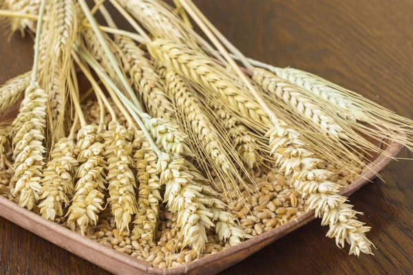 Spikelet of wheat and wheat grains on a brown background. Top view