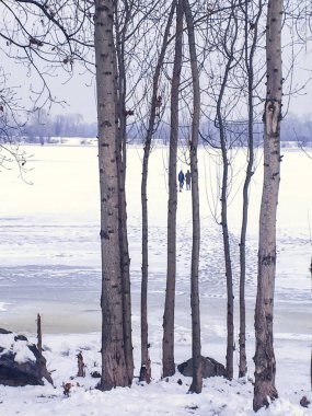 Kış manzara: ağaç gövdeleri, buzla kaplı bir nehir iki kişi buz üzerinde yürümek.