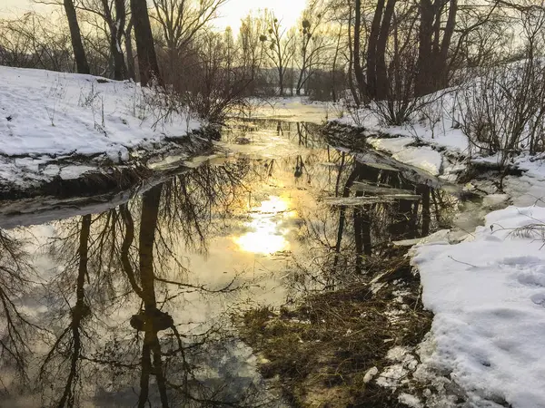 Winterlandschaft Bei Sonnenuntergang Ein Eisbedeckter Bach Bäume Und Sträucher Ufer — Stockfoto