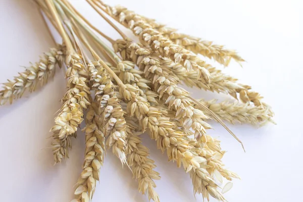 Cereals Spikelets Wheat White Background Top View — Stock Photo, Image