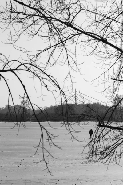 Silhouette Uomo Campo Innevato Rami Alberi Primo Piano Immagine Bianco — Foto Stock