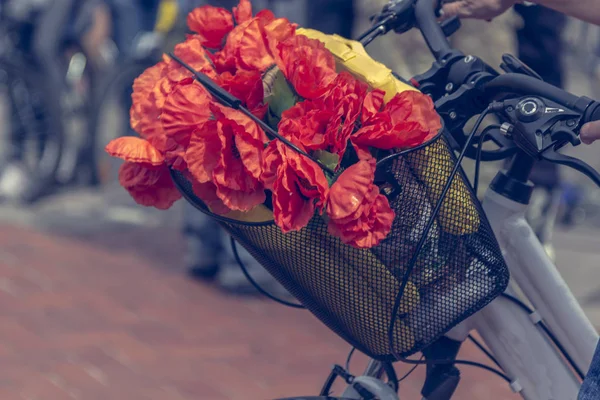 Papoulas vermelhas em uma cesta de bicicleta . — Fotografia de Stock