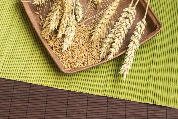 Colheita de trigo duro de diferentes variedades. Grãos de trigo em um prato. Vista superior — Fotografia de Stock