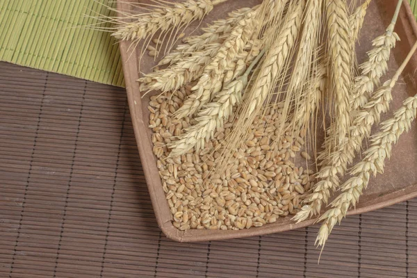 Reap of durum wheat from different varieties.  Wheat grains in a plate. Top view — Stock Photo, Image