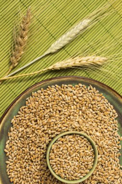 Reap of durum wheat from different varieties.  Wheat grains in a plate. Top view clipart
