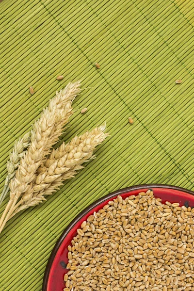 Reap of durum wheat from different varieties.  Wheat grains in a plate. Top view — Stock Photo, Image