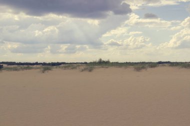 Kum tepeleri ve kuru ot, parlak mavi gökyüzünde beyaz bulutlar