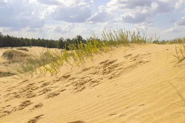 Zandduinen in de blauwe hemel wolken, voetsporen in het zand — Stockfoto