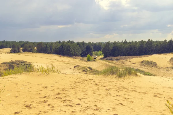 Zandduinen en dennen, de hemel in de wolken. Auto op de achtergrond — Stockfoto