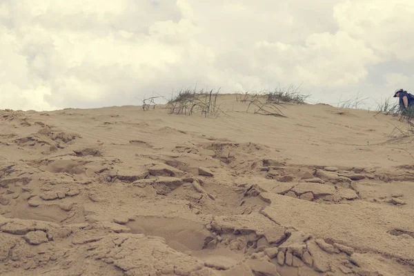 Zandduinen, droog gras, witte wolken op de blauwe hemel aan de horizon, in de verte de jongen loopt in het zand — Stockfoto