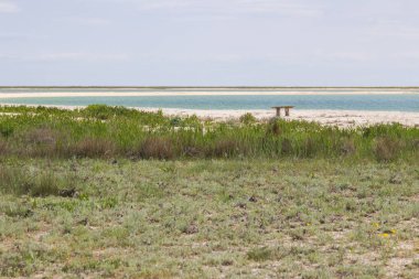 Deniz den bozkır otu, ahşap bank.