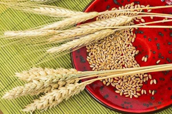 Makarnalık Buğday üzerinden farklı çeşitleri, biçmek. Buğday taneleri bir tabak içinde. Üstten Görünüm