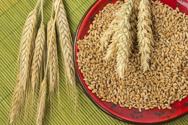 Makarnalık Buğday üzerinden farklı çeşitleri, biçmek. Buğday taneleri bir tabak içinde. Üstten Görünüm