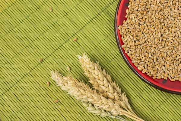 Makarnalık Buğday üzerinden farklı çeşitleri, biçmek. Buğday taneleri bir tabak içinde. Üstten Görünüm