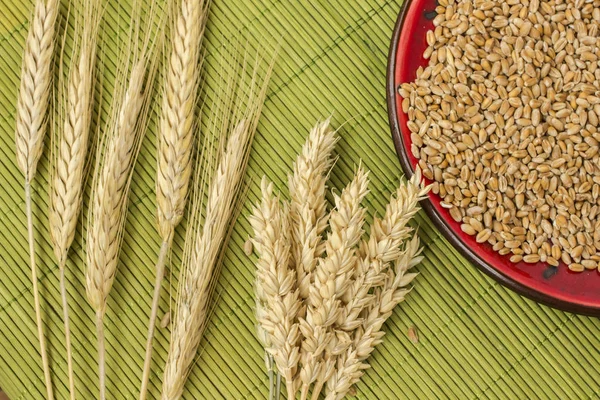 Makarnalık Buğday üzerinden farklı çeşitleri, biçmek. Buğday taneleri bir tabak içinde. Üstten Görünüm