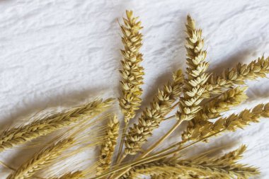 Beyaz arka planda buğday dikenleri. Üstte görüntü