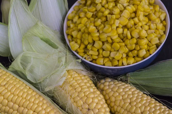 Maíz crudo en la mazorca y granos de maíz en un tazón azul —  Fotos de Stock