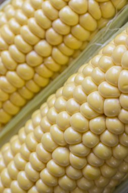 Çiğ mısır koçan yakın