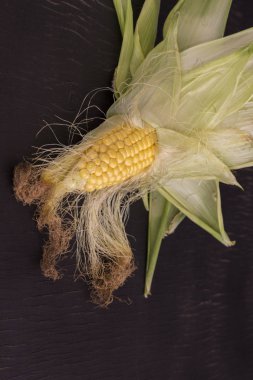 Yeşil yaprakları ve mısır stigmas ile koçan üzerinde Ham mısır