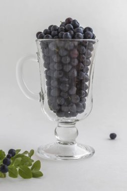 Bir cam taze orman yaban mersini