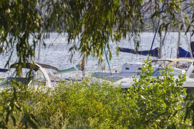 Ağaç dalları boyunca moored Yatlar görülebilir.