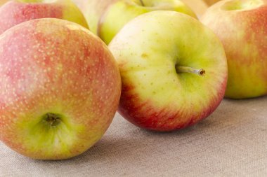 Olgun kırmızı elmalar. Yakın çekim