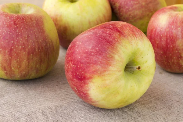 Olgun kırmızı elmalar. Yakın çekim