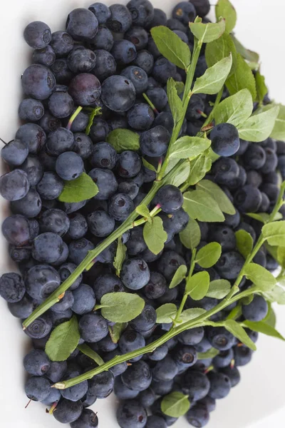 Forest blueberries with green leaves on a white background — Stock Photo, Image