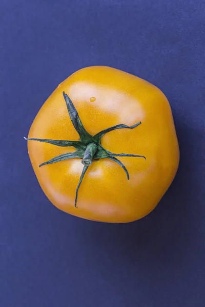 Gelbe Tomate auf blauem Hintergrund. Ansicht von oben — Stockfoto