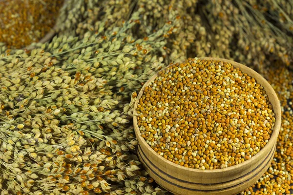 Des brins de millet rouge et des grains de millet dans une boîte. Gros plan — Photo